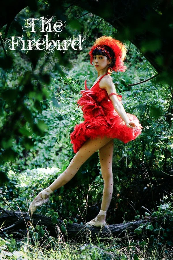 Постер: The Firebird