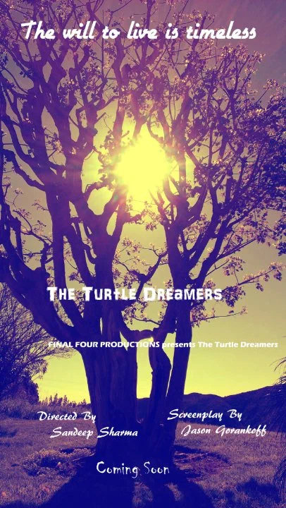 Постер: The Turtle Dreamers