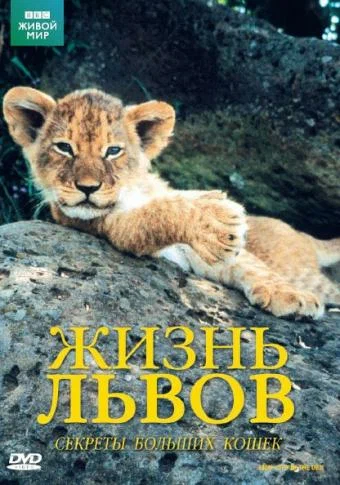 Постер: BBC: Жизнь львов