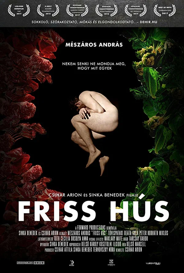 Постер: Friss Hús