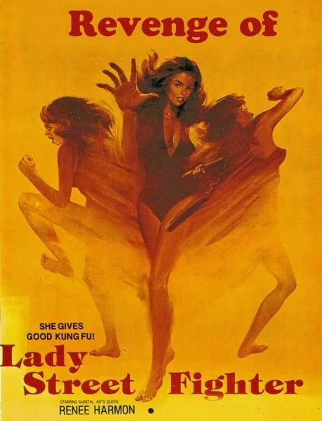 Постер: Revenge of Lady Street Fighter