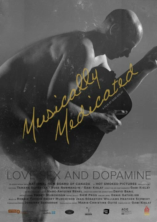 Постер: Musically Medicated