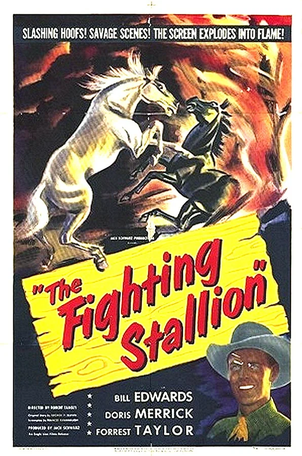 Постер: The Fighting Stallion