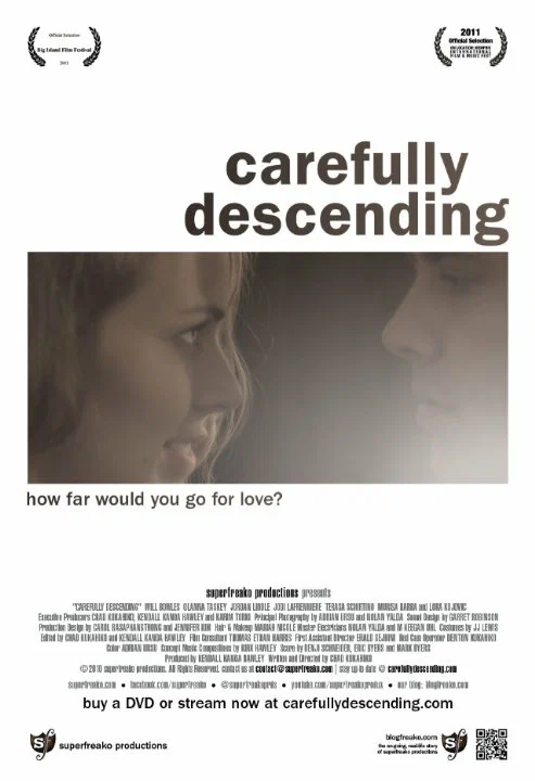 Постер: Carefully Descending