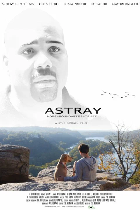 Постер: Astray