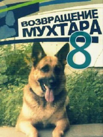 Постер: Возвращение Мухтара 8