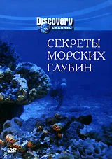 Постер: Секреты морских глубин