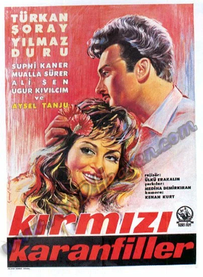 Постер: Kirmizi karanfiller
