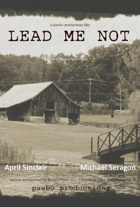 Постер: Lead Me Not