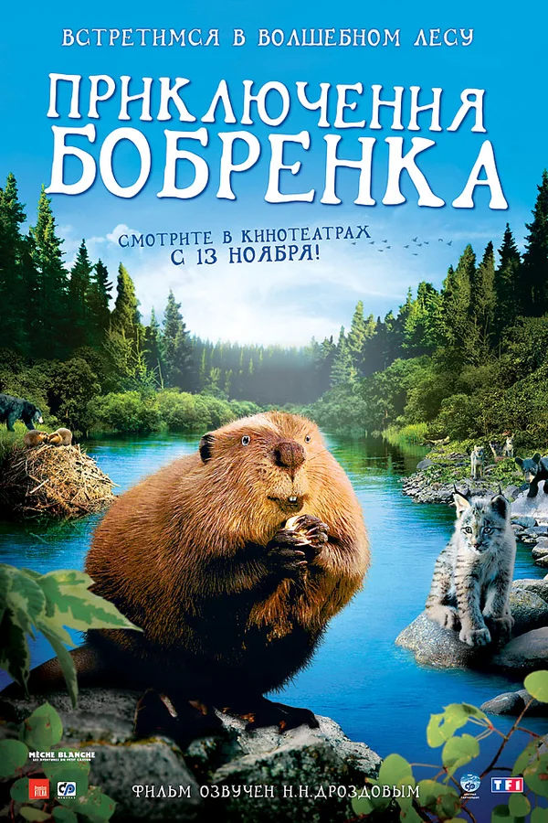 Постер: Приключения бобрёнка