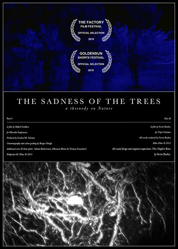 Постер: The Sadness of the Trees