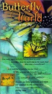 Постер: Butterfly World