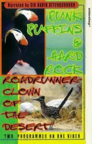 Постер: Roadrunner