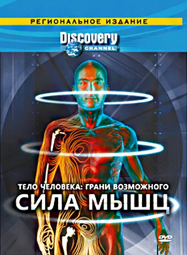 Постер: Discovery: Тело человека. Грани возможного