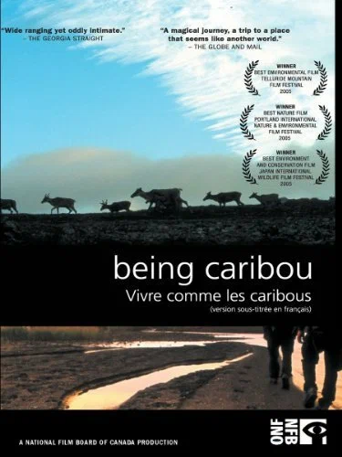 Постер: Being Caribou