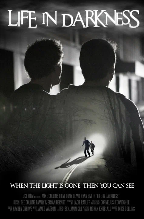 Постер: Life in Darkness