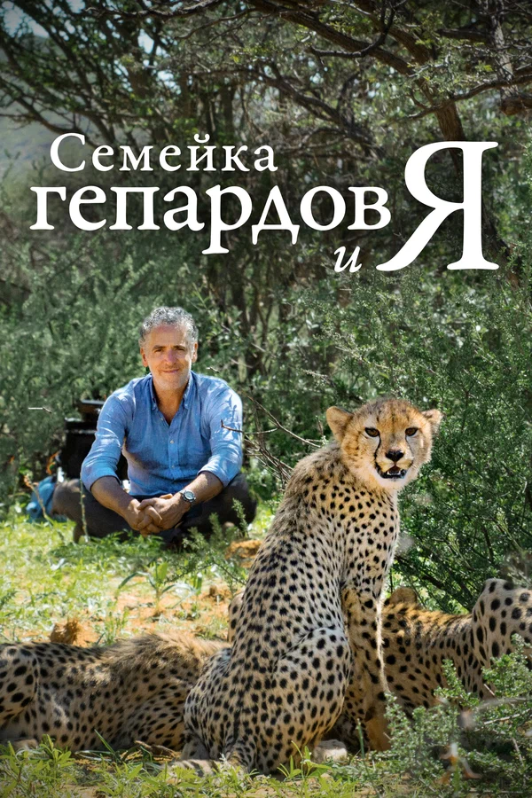 Постер: Семейка гепардов и я