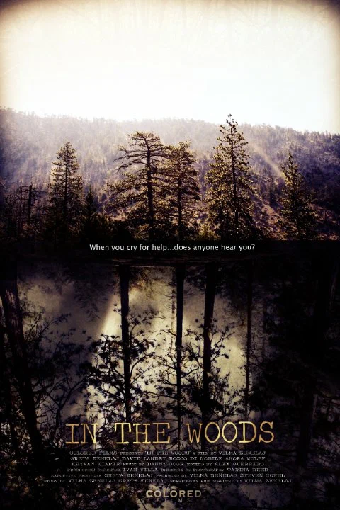 Постер: In the Woods
