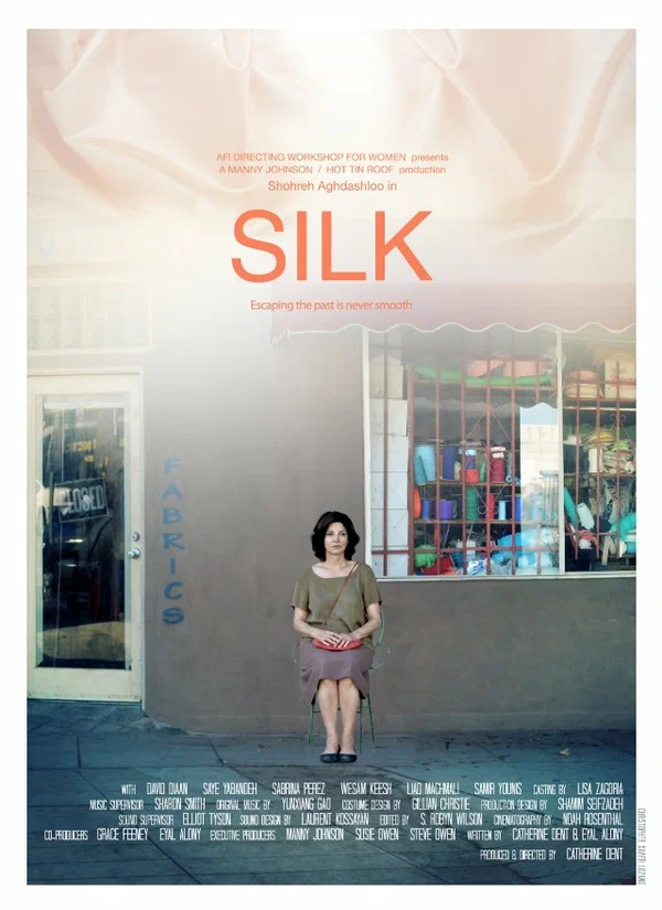 Постер: Silk