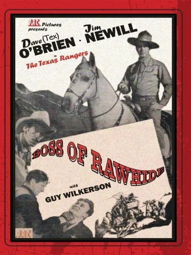Постер: Boss of Rawhide