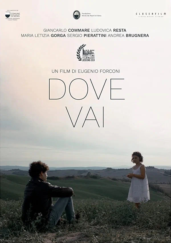 Постер: Dove Vai