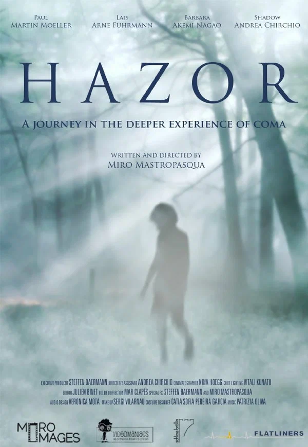 Постер: Hazor