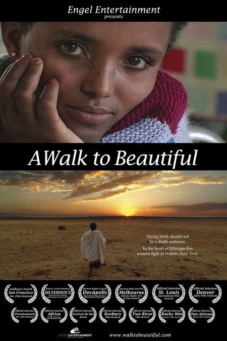 Постер: A Walk to Beautiful