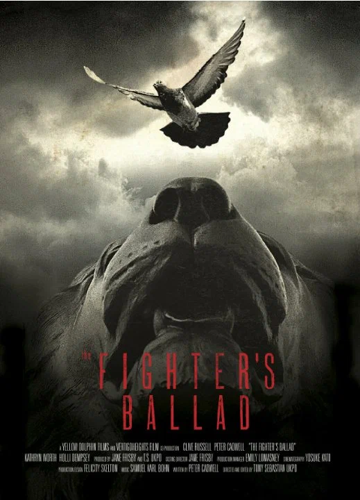 Постер: The Fighter's Ballad