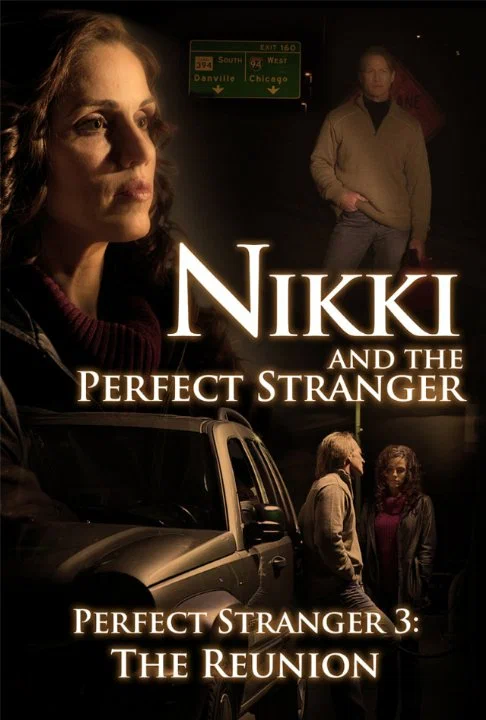 Постер: Nikki and the Perfect Stranger