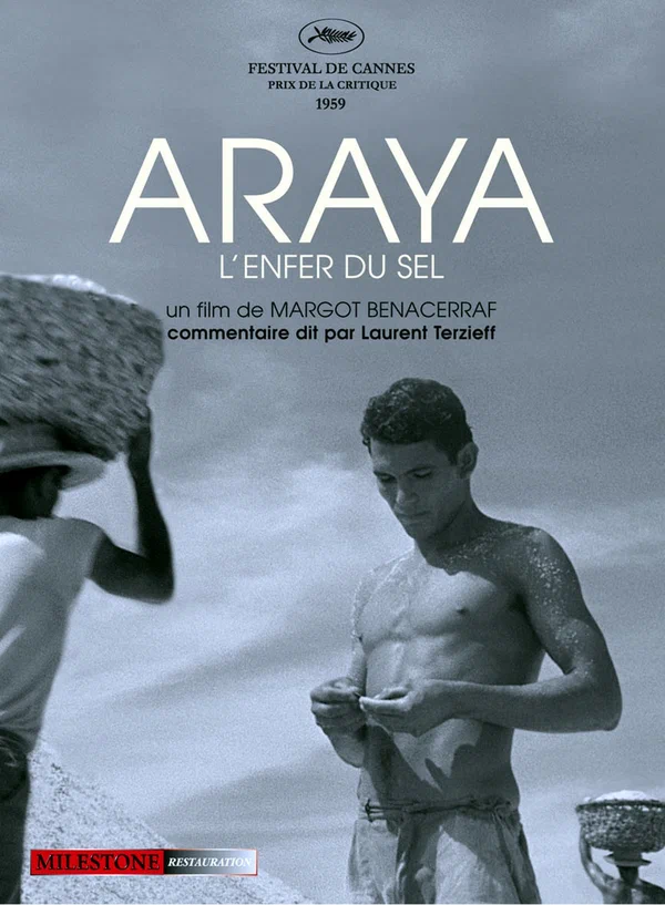 Постер: Арайа