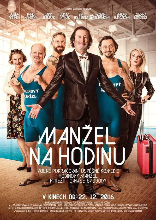 Постер: Manžel na hodinu
