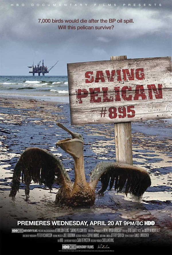 Постер: Saving Pelican 895