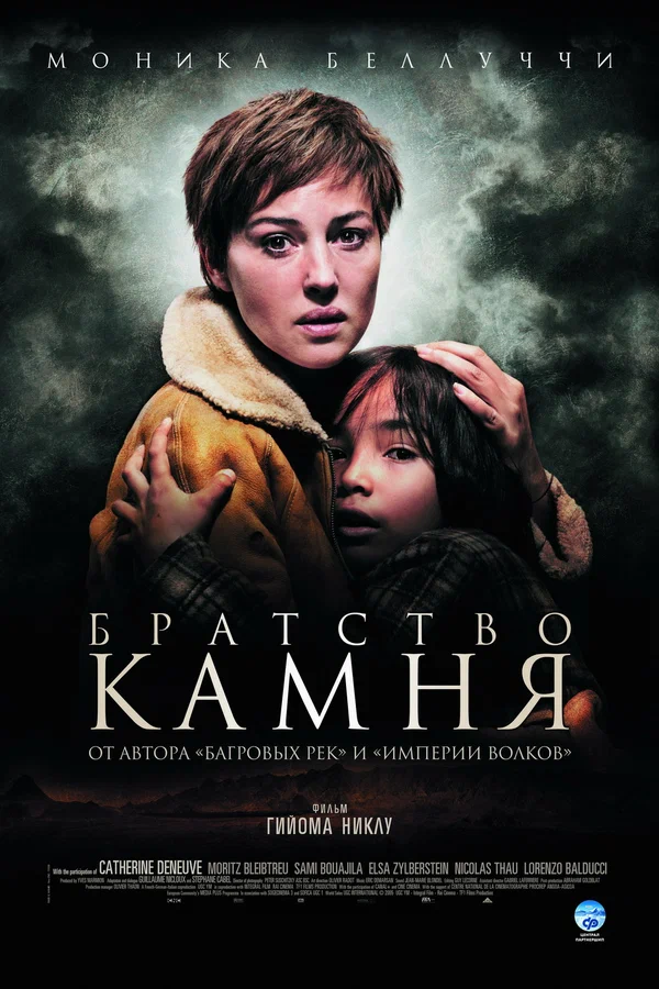 Постер: Братство камня