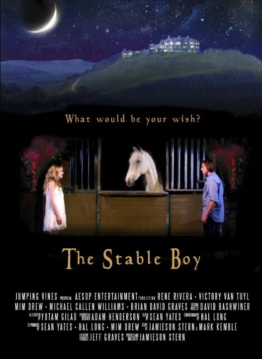 Постер: The Stable Boy