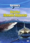 Постер: Discovery: Акулы Южной Африки