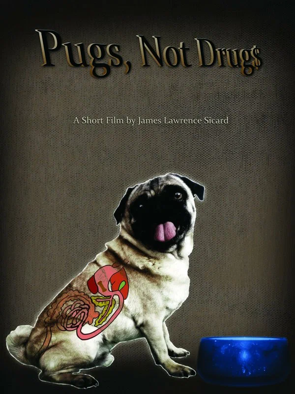 Постер: Pugs, Not Drugs