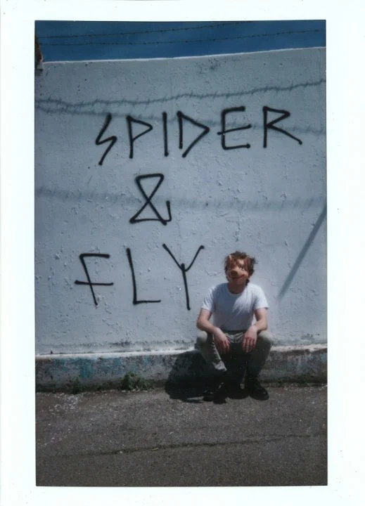 Постер: Spider & Fly