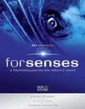 Постер: Senses