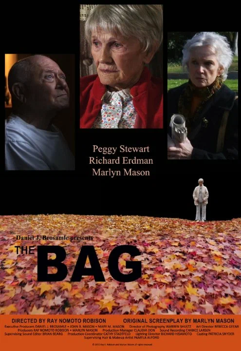 Постер: The Bag