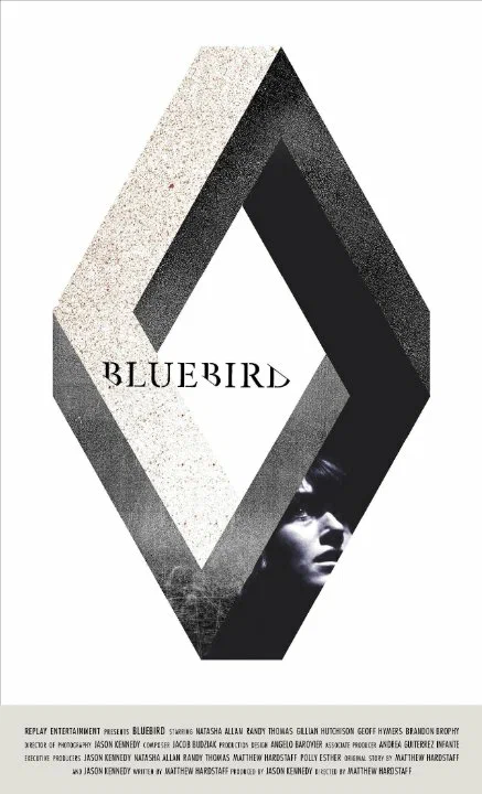 Постер: Bluebird