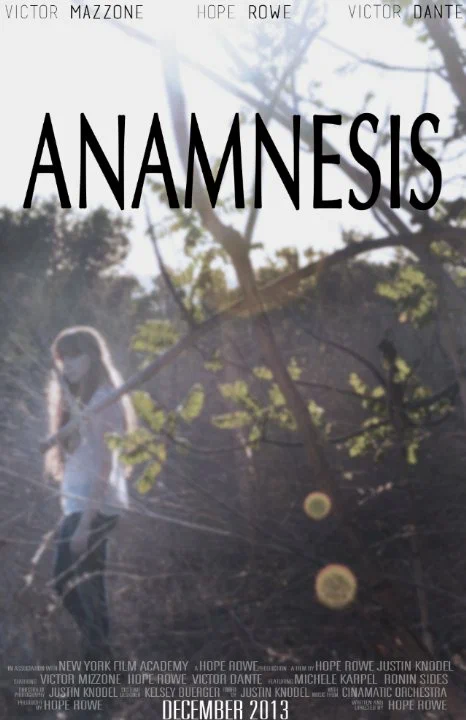 Постер: Anamnesis