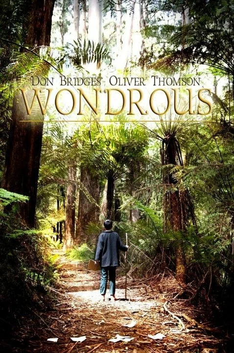 Постер: Wondrous