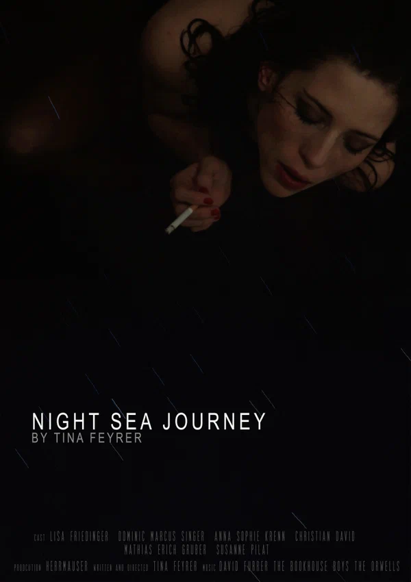 Постер: Night Sea Journey