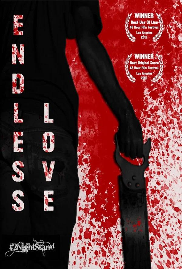Постер: Endless Love