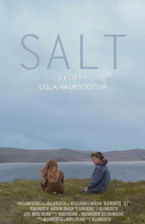Постер: Salt