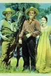Постер: The Roundup