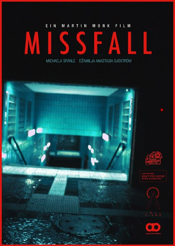 Постер: Missfall
