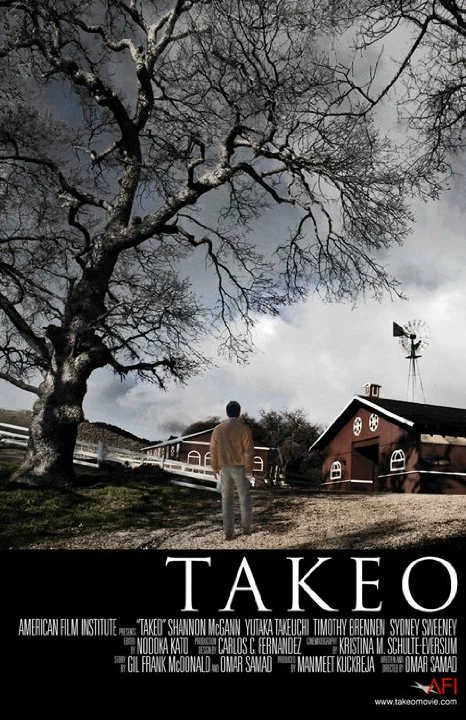 Постер: Takeo