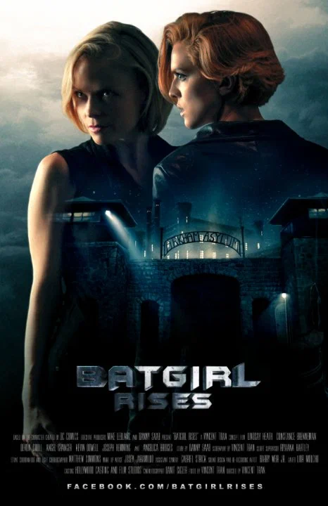 Постер: Batgirl Rises