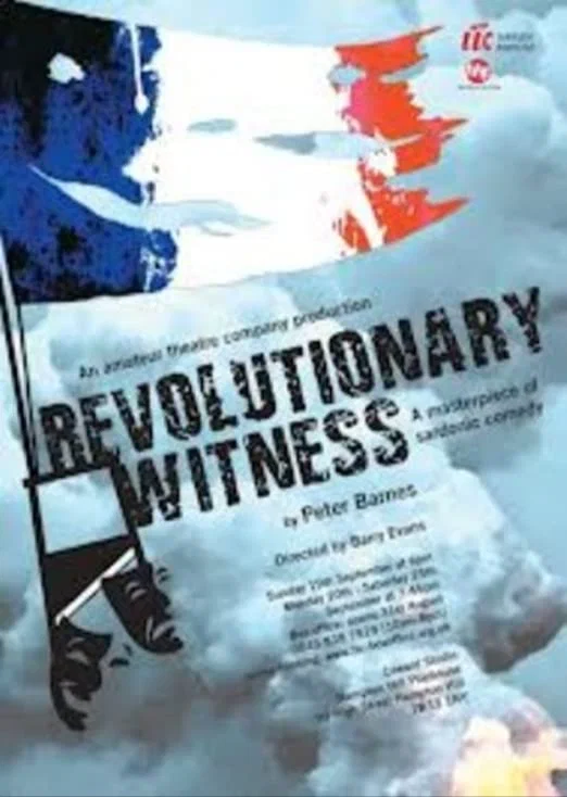 Постер: Revolutionary Witness